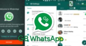 The Anatomy of a GB WhatsApp Message: Features Explained