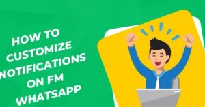 Personalizing Your FM WhatsApp Experience with Themes